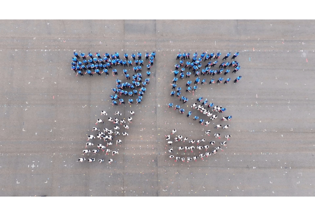 461554665_931710162318038_7852429110609027185_n