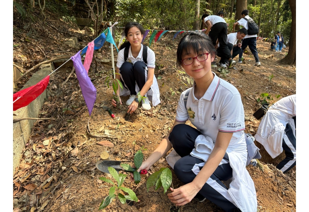 WhatsApp Image 2025-04-21 at 8.16.52 PM-3