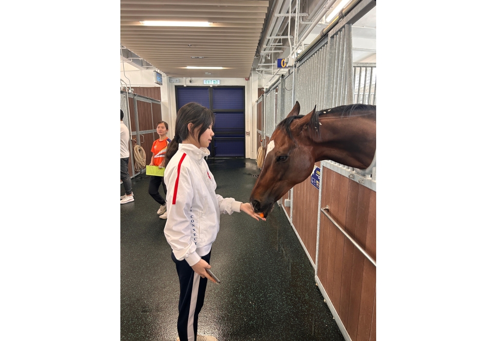 9667be0f-d4a6-4d32-bb73-bb3c0a7a8552